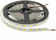 Vito LED Strip 12V Natural White Light 5m Type SMD5050