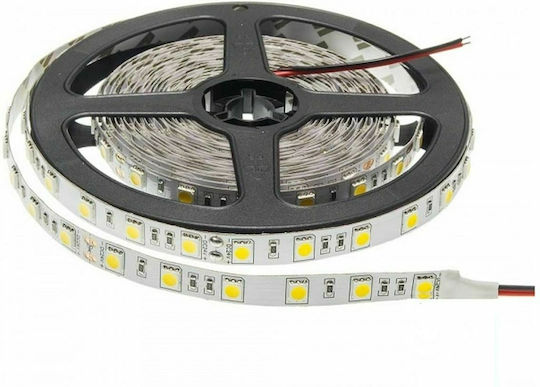 Vito LED Strip 12V Natural White Light 5m Type SMD5050