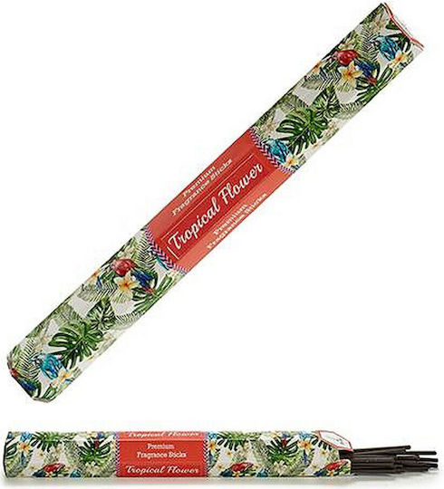 BigBuy Αρωματικά Sticks με Άρωμα Τροπικό S3604190