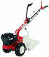 Eurosystems P55 Τετράχρονο Kultivator Benzin 196cc mit Motor Loncin
