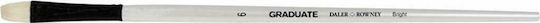 Daler Rowney Graduate Bristle Bright Πινέλο Ζωγραφικής Στρογγυλό No6