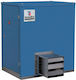 Tecnoclima Supercikki 80 Boiler Gas with Burner 68800kcal/h