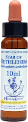 Healing Herbs Star of Bethlehem Flower Essence in Drops for Relaxation 10ml