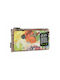 Anekke Nature Large Women's Wallet