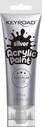 Keyroad Metallic Silver 75ml 1 Piece
