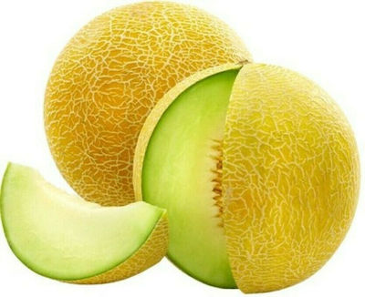 Γενική Φυτοτεχνική Αθηνών Imperial F1 Seeds Melon 500pcs