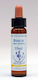 Healing Herbs Beech Flower Essence in Drops 10ml
