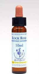 Healing Herbs Rock Rose Flower Essence in Drops for Relaxation 10ml