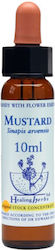 Healing Herbs Mustard Esență Florală în Picături 10ml