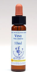 Healing Herbs Vine Flower Essence in Drops 10ml