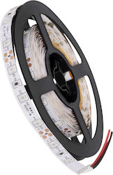 GloboStar Avila LED Strip Power Supply 12V with Red Light Length 5m and 60 LEDs per Meter SMD3528