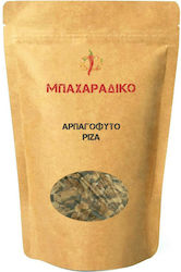 MPACHARADIKO MPACHARADIKO