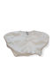 Kids' Crop Top Short Sleeve White