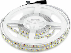 V-TAC Bandă LED Alimentare 12V cu Lumină Alb Rece Lungime 5m și 120 LED-uri pe Metru SMD3528