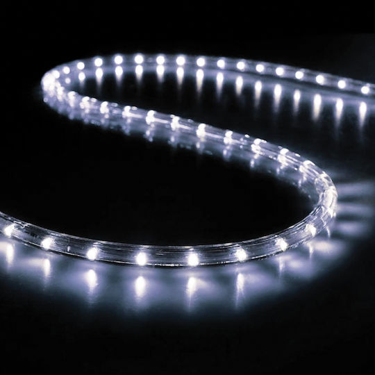 Christmas Light Tube Cold White 220V IP44 Joylight