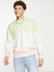 Red Tab Sweatshirt Multicolour
