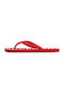 Superdry Men's Flip Flops Red Regular Fit