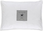 Guy Laroche 50/50 Sleep Pillow Feathered Soft 50x70cm