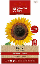 Gemma Seeds Sunflower Edible Yellow