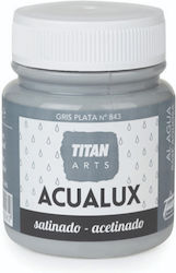 Titan Acualux Satin Vopsea acrilică Gri pentru ...