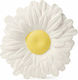 Oli&Carol Daisy the Daisy Teether from Rubber for 0 Months+