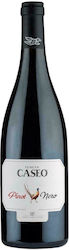Tommasi Family Estates Caseo Rot Trocken Schaumwein 750ml