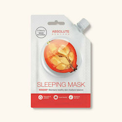 Absolute New York Absolute Spout Rosehip Brightening Gesichts- & Augenmasken 25gr