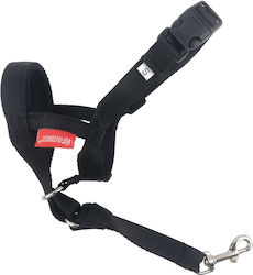 Pet Interest Antrenament Mici 35-44cm Pet Interest Antrenament Mici 35-44cm