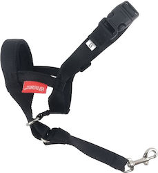 Pet Interest Antrenament Măști Pentru Câini Mărime Mediu 38-48cm Pet Interest Antrenament Măști Pentru Câini Mărime Mediu 38-48cm