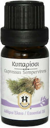 Herbstore Κυπαρίσσι Αιθέριο Έλαιο 100ml