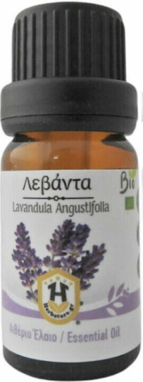 Herbstore Bio Ätherisches Öl Lavendel Essbar 10ml