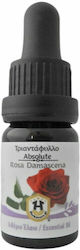 Herbstore Absolut Ätherisches Öl Rose Essbar mit Tropfer 5ml