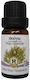 Herbstore Θούγια Ätherisches Öl Thuja 50ml