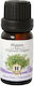 Herbstore Essential Oil Oregano Edible 50ml
