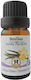 Herbstore Ätherisches Öl Vanille Essenziell Bio mit Tropfer 100ml