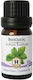 Herbstore Organic Basil Edible Essential Oil with Dropper 50ml