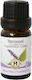 Herbstore Bio Ätherisches Öl Patchouli Essbar 100ml