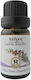 Herbstore Edible Cedar Essential Oil 100ml