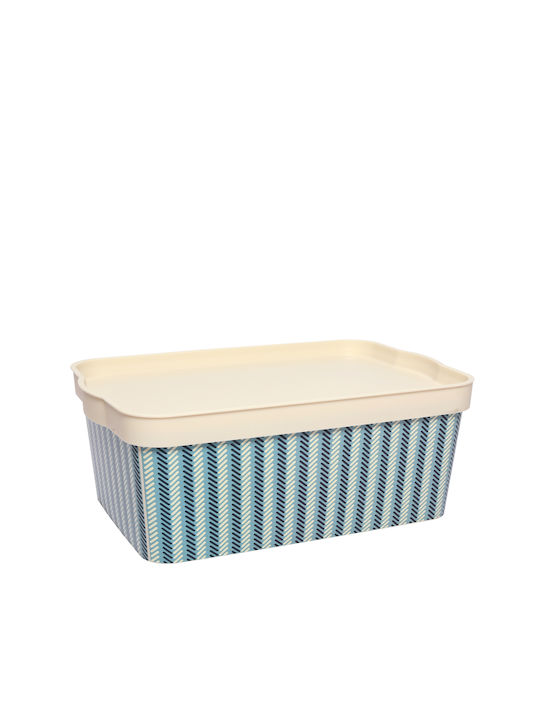 TnS Plastic Storage box with Cap Blue 32x21x14.5cm 1pcs