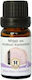 Herbstore Υγρό για Κουνούπια 50ml