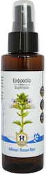 Herbstore Herbstore Blumenwässer 1000ml Herbstore Herbstore Blumenwässer 1000ml