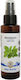 Herbstore Ανθόνερο Μελισσόχορτου 200ml