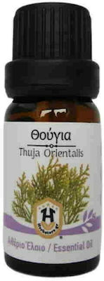 Herbstore Θούγια Essential Oil Thuja 5ml