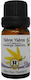 Herbstore Bio Ätherisches Öl Ylang-Ylang Essbar 5ml