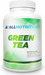 AllNutrition Green Tea 90 κάψουλες