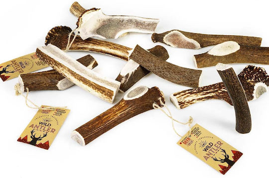 Celebrate Freshness Wild Horn Hund Mittelgroße Rassen aus Hirsche 120gr 84262