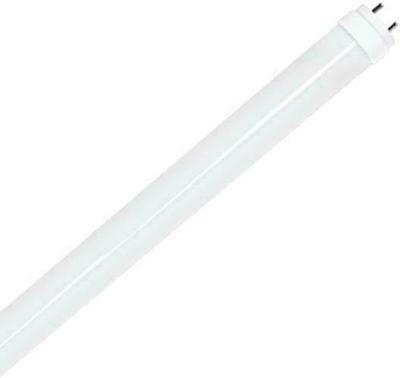 Eurolamp LED Lampen Fluoreszenztyp für Fassung T8 und Form T8 Kühles Weiß 1900lm 1Stück