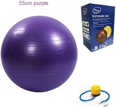 King Lion Pilates Ball 55cm Purple