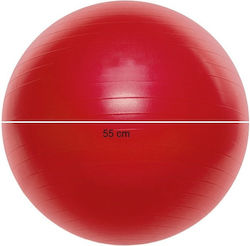 King Lion Übungsbälle Pilates 55cm in Rot Farbe