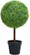 vidaXL Artificial Plant in Pot Buxus (Common box) Green 50cm 1pcs